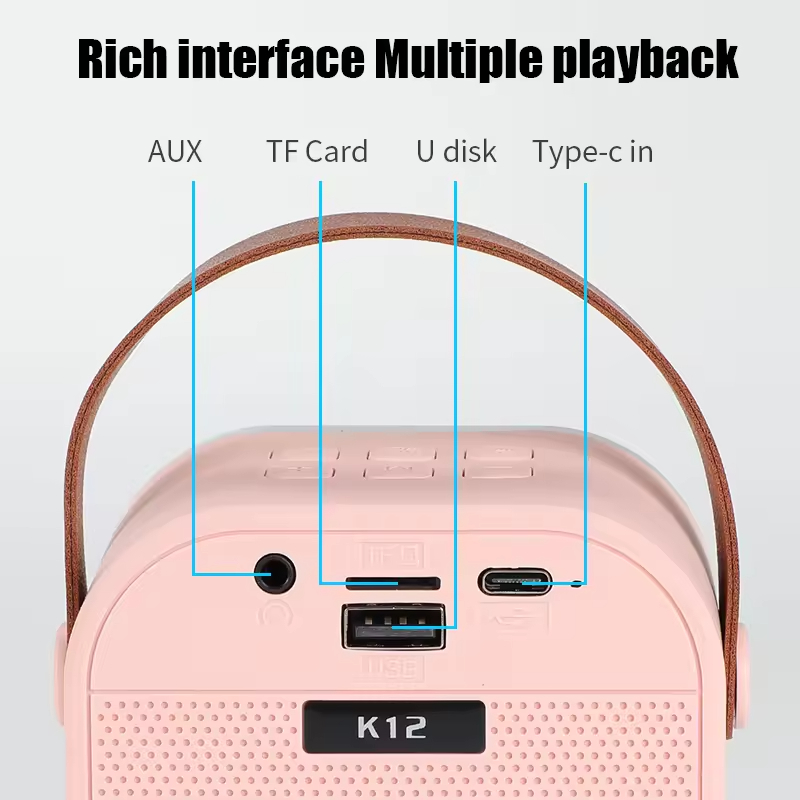 K12 Wireless Microphone Karaoke Speaker with 2 Microphone