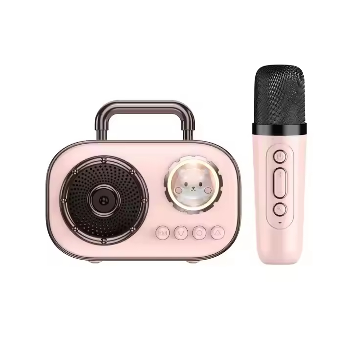 Wireless Portable Mini Speaker with Radio